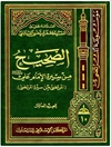 صحيح من سيرة الإمام علي عليه السلام أو المرتضی من سیرة المرتضی المجلد 10