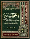 صحيح من سيرة الإمام علي عليه السلام أو المرتضی من سیرة المرتضی المجلد 20