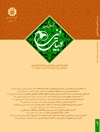 رثای حسینی در اشعار عربی قرن سوم