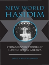 حسیدیسم دنیای جدید: مطالعات قوم نگاری یهودیان حسیدی در آمریکا [کتاب انگلیسی]