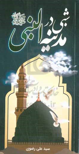 شبی در مدینه النبی (ص)